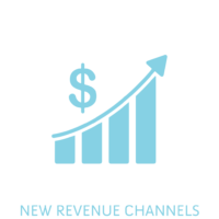 NEW REVENUE CHANNELS NEW REVENUE CHANNELS